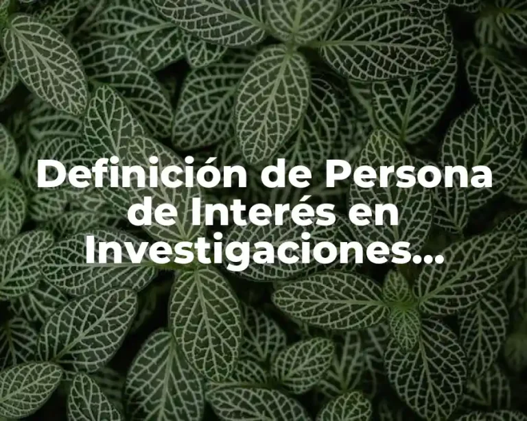 Definición de Persona de Interés en Investigaciones Policiacas