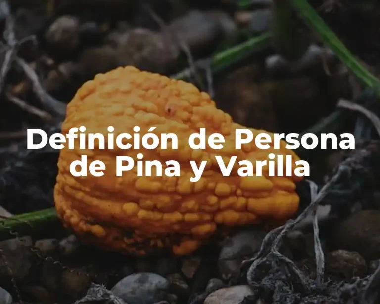 Definición de Persona de Pina y Varilla