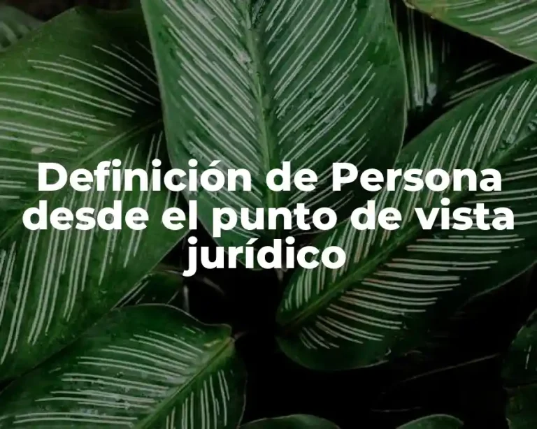 Definición de Persona desde el punto de vista jurídico