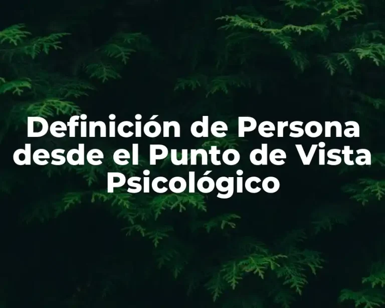 Definición de Persona desde el Punto de Vista Psicológico