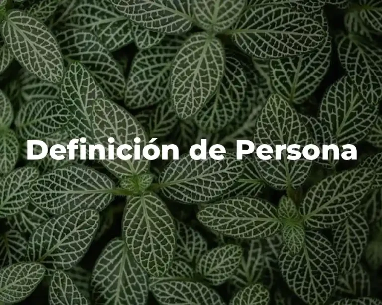 Definición de Persona