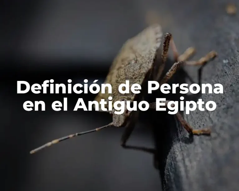 Definición de Persona en el Antiguo Egipto