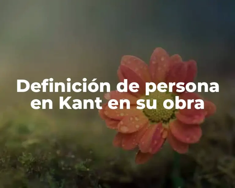 Definición de persona en Kant en su obra
