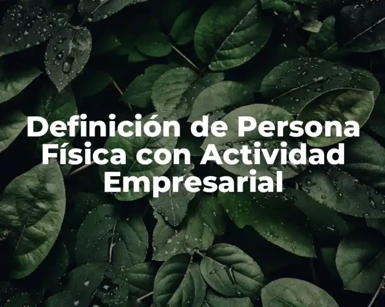 Definición de Persona Física con Actividad Empresarial