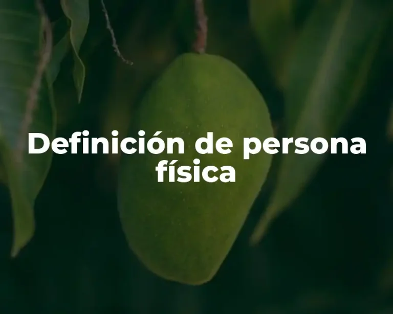 Definición de persona física