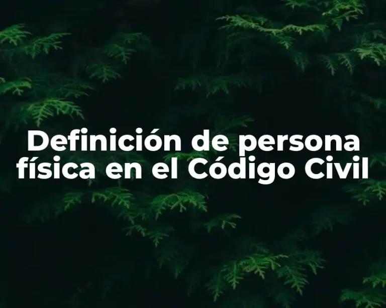Definición de persona física en el Código Civil