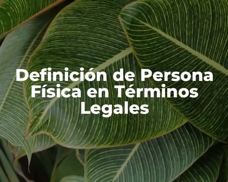 Definición de Persona Física en Términos Legales