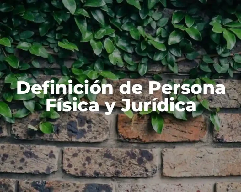 Definición de Persona Física y Jurídica