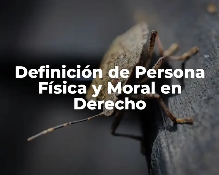 Definición de Persona Física y Moral en Derecho