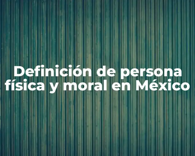 Definición de persona física y moral en México