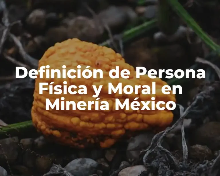 Definición de Persona Física y Moral en Minería México