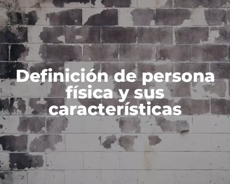 Definición de persona física y sus características