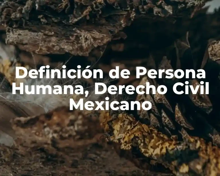 Definición de Persona Humana, Derecho Civil Mexicano