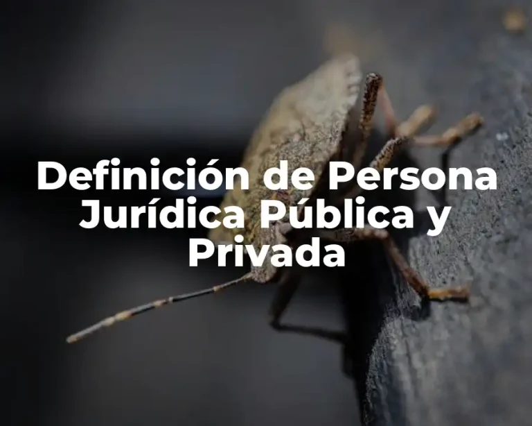 Definición de Persona Jurídica Pública y Privada