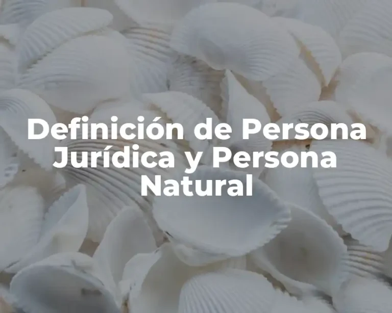 Definición de Persona Jurídica y Persona Natural