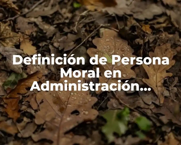 Definición de Persona Moral en Administración Empresarial