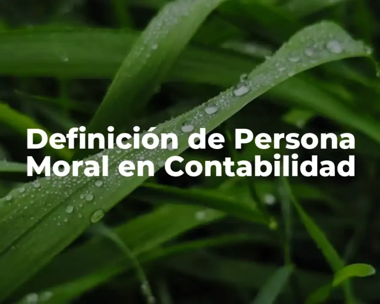 Definición de Persona Moral en Contabilidad