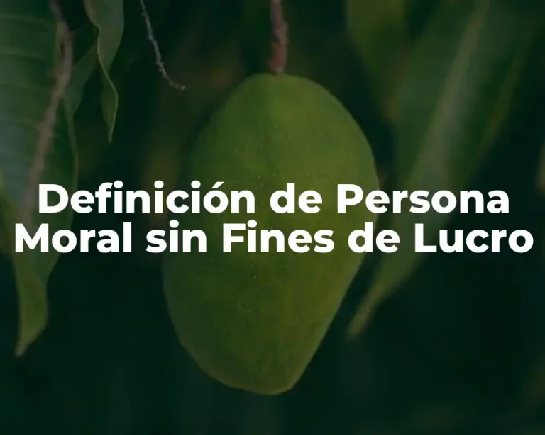 Definición de Persona Moral sin Fines de Lucro