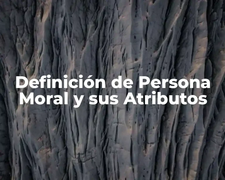 Definición de Persona Moral y sus Atributos