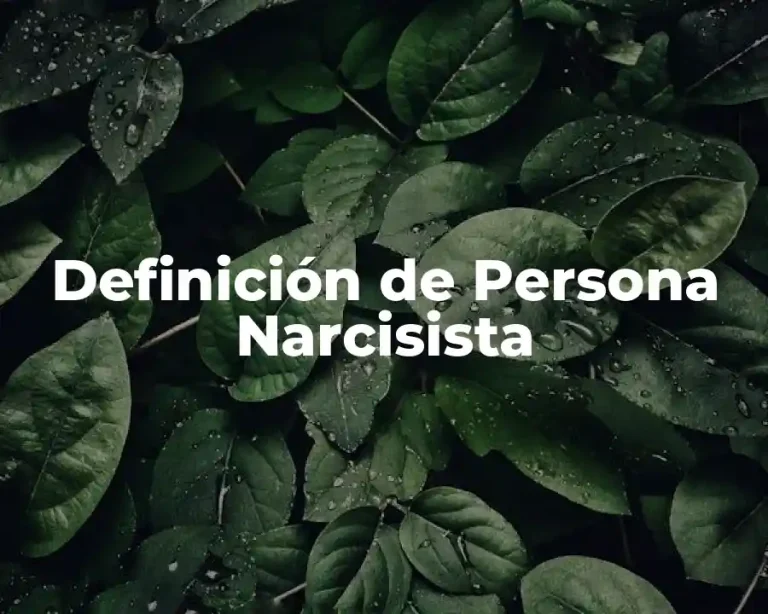 Definición de Persona Narcisista