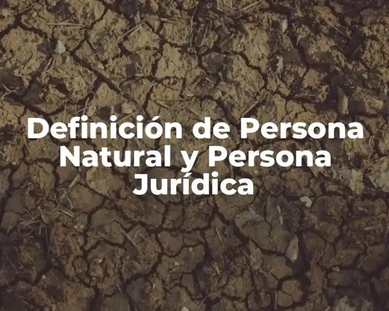 Definición de Persona Natural y Persona Jurídica