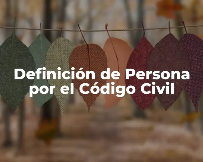 Definición de Persona por el Código Civil
