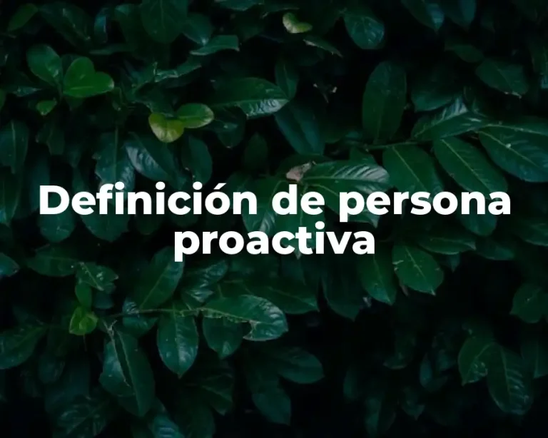 Definición de persona proactiva