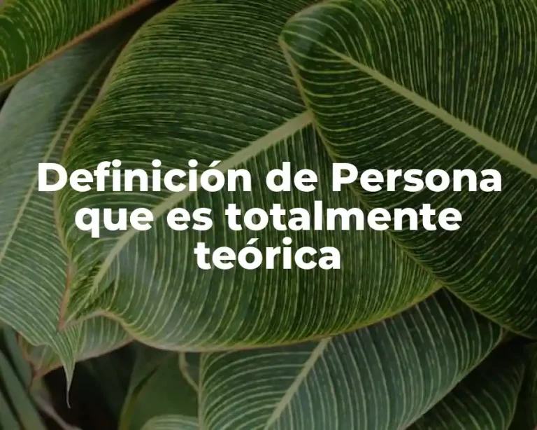 Definición de Persona que es totalmente teórica