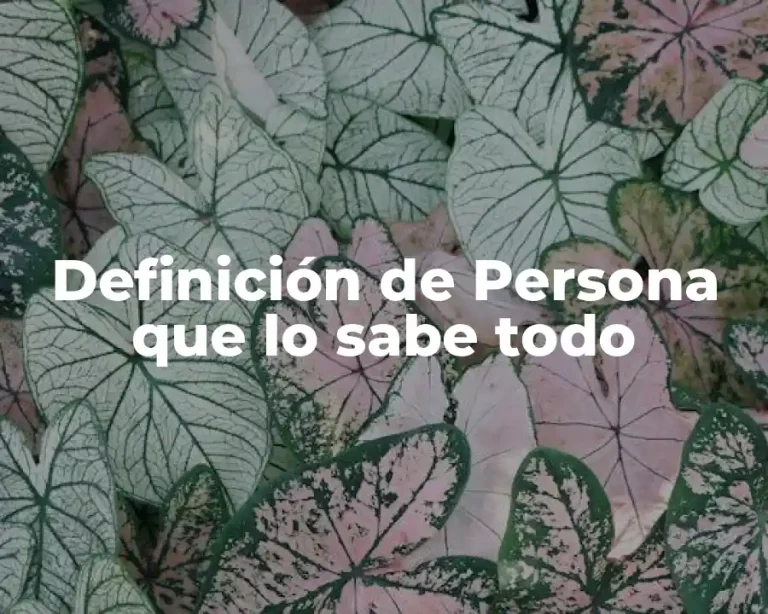 Definición de Persona que lo sabe todo