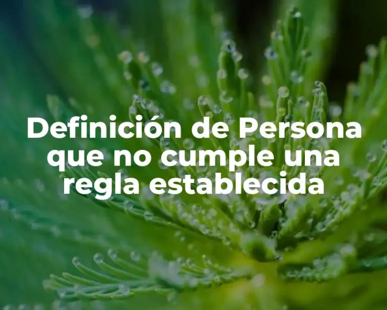 Definición de Persona que no cumple una regla establecida