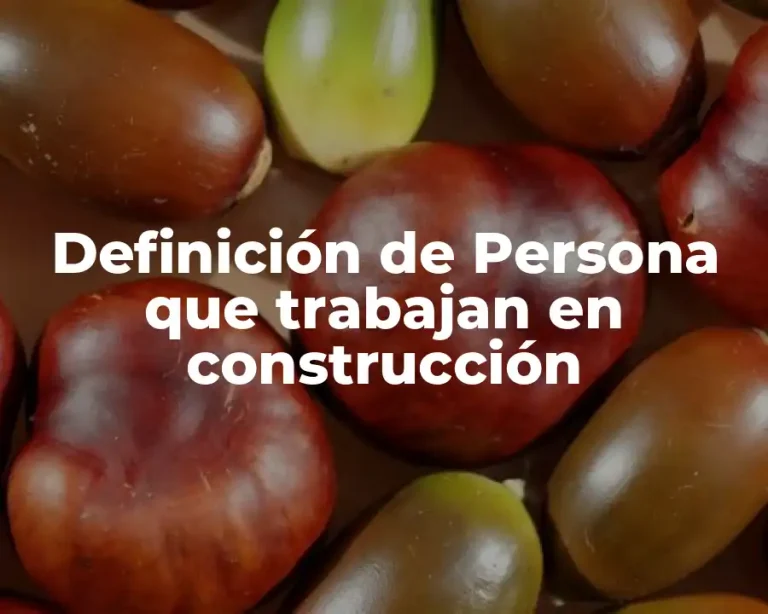 Definición de Persona que trabajan en construcción