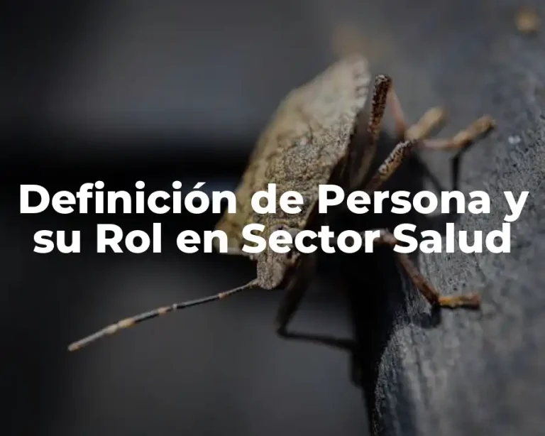 Definición de Persona y su Rol en Sector Salud