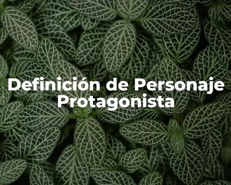 Definición de Personaje Protagonista