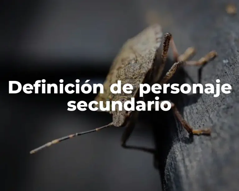 Definición de personaje secundario