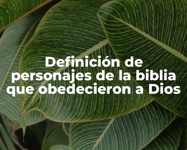 Definición de personajes de la biblia que obedecieron a Dios