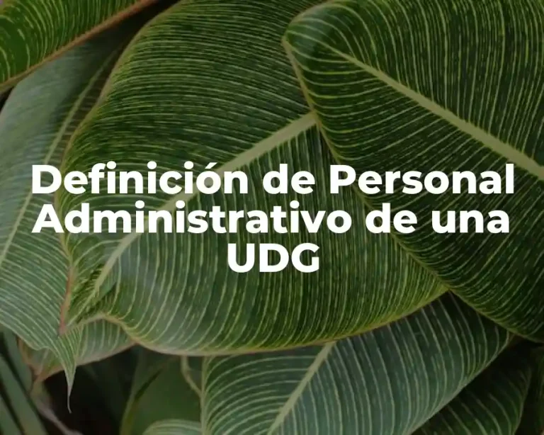Definición de Personal Administrativo de una UDG