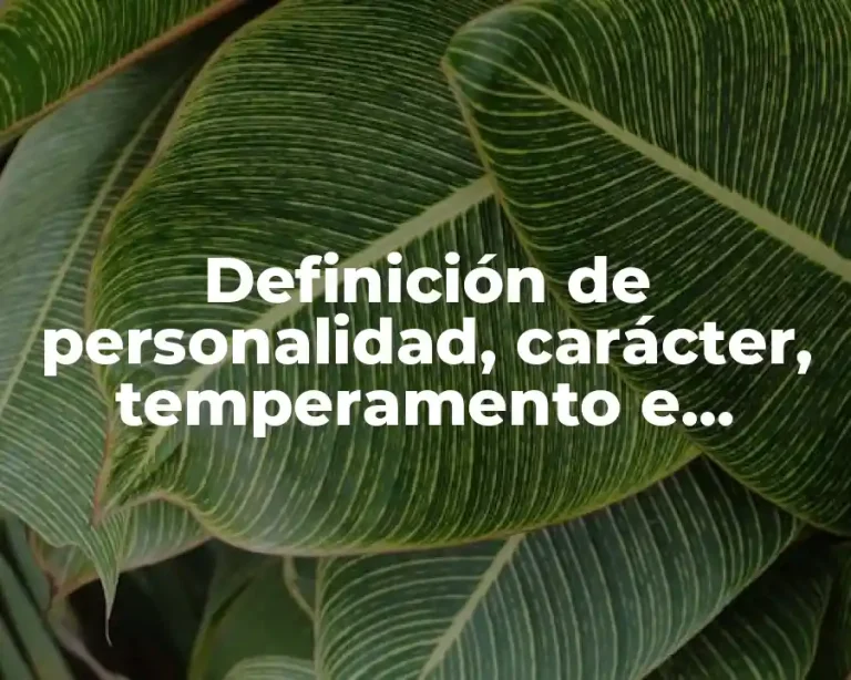 Definición de personalidad, carácter, temperamento e inteligencia