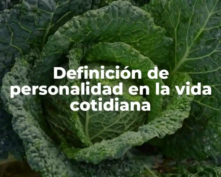 Definición de personalidad en la vida cotidiana