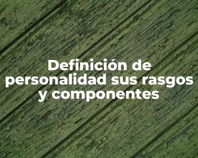 Definición de personalidad sus rasgos y componentes