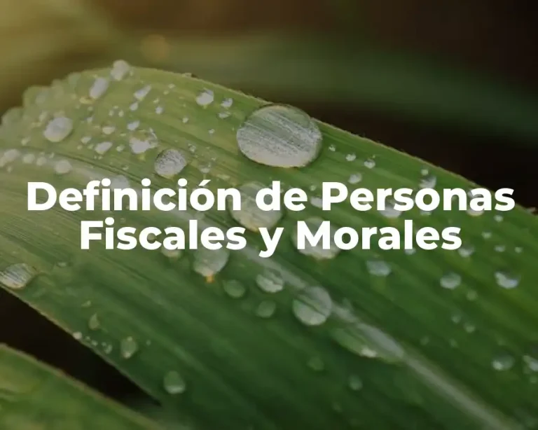 Definición de Personas Fiscales y Morales