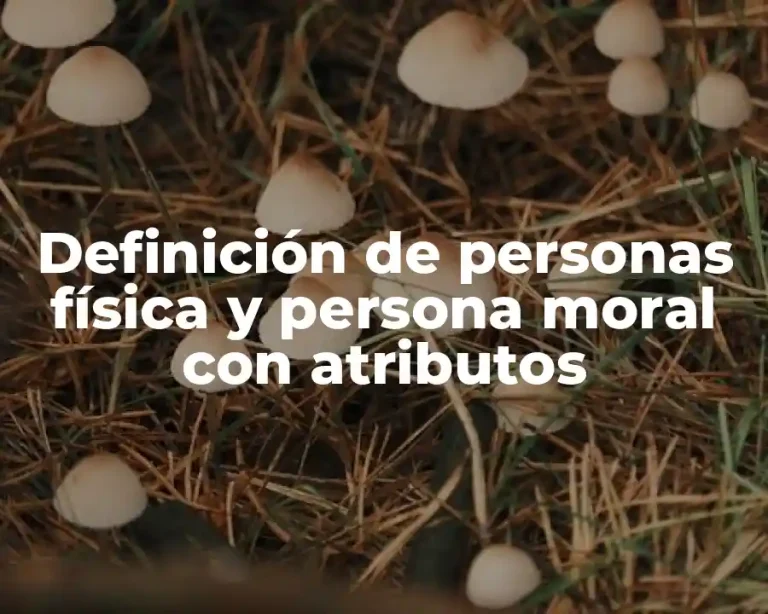 Definición de personas física y persona moral con atributos