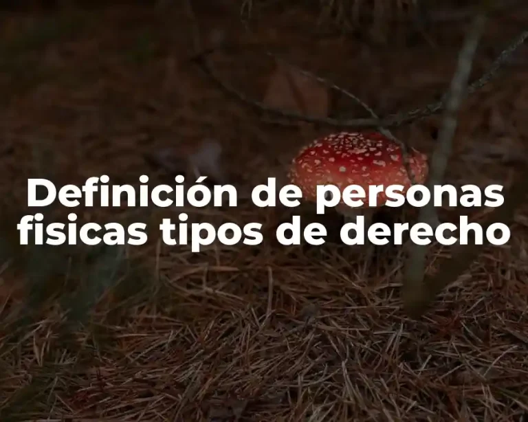 Definición de personas fisicas tipos de derecho