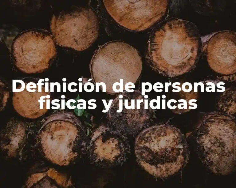 Definición de personas fisicas y juridicas