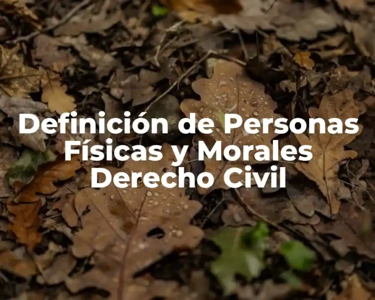 Definición de Personas Físicas y Morales Derecho Civil