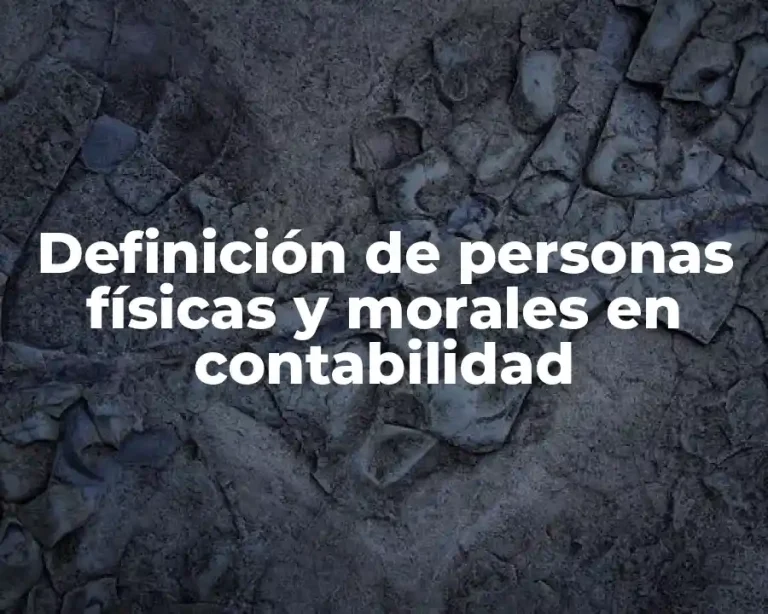 Definición de personas físicas y morales en contabilidad