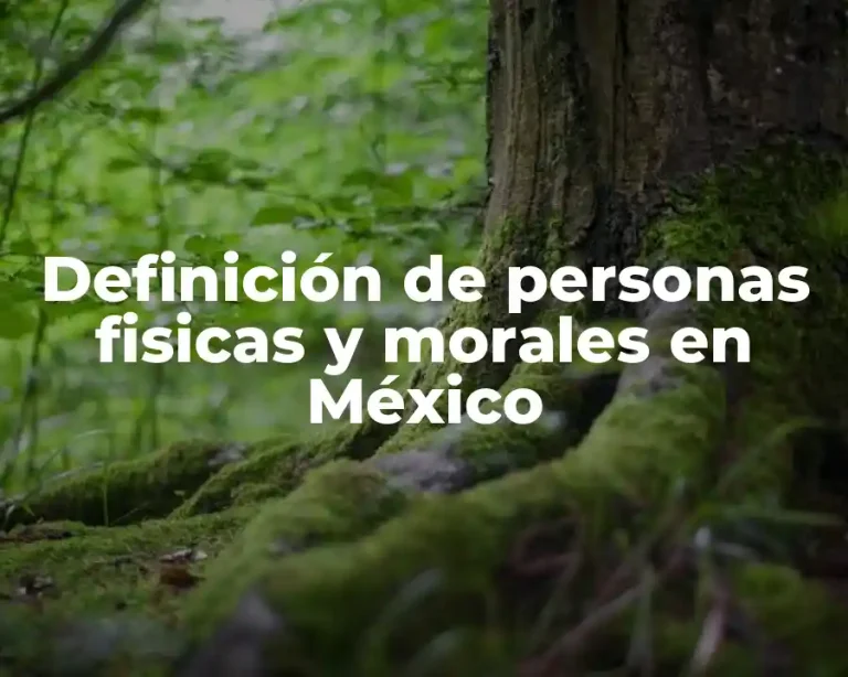 Definición de personas fisicas y morales en México