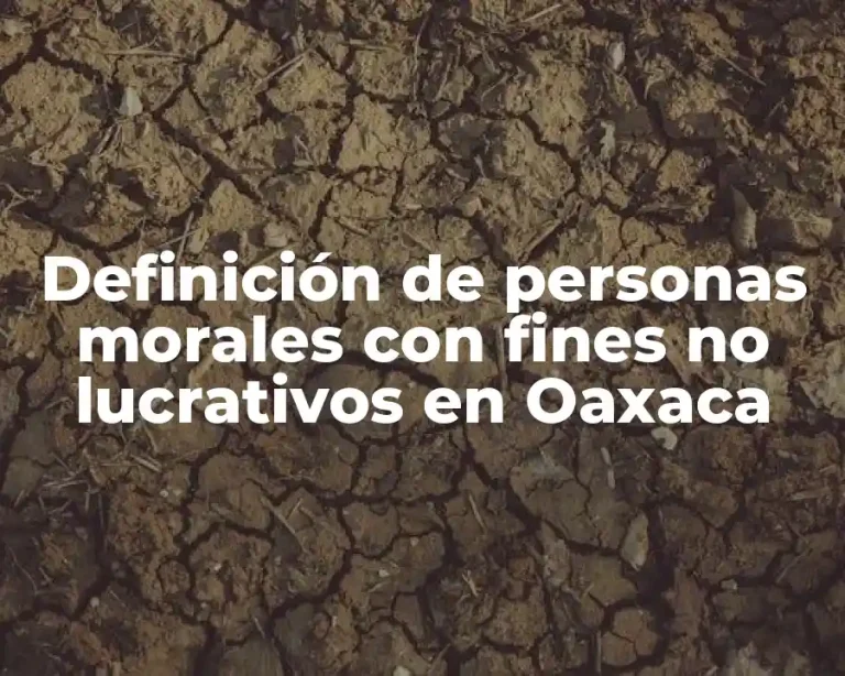 Definición de personas morales con fines no lucrativos en Oaxaca