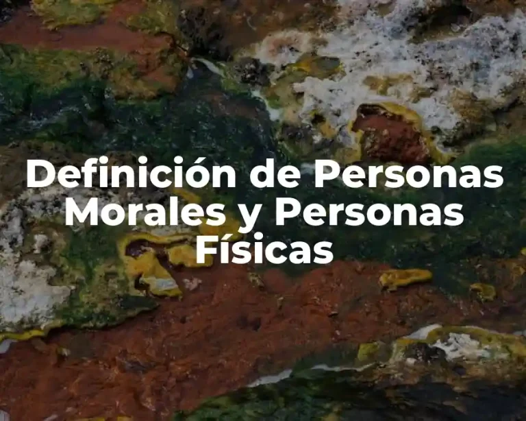 Definición de Personas Morales y Personas Físicas