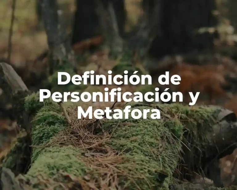 Definición de Personificación y Metafora