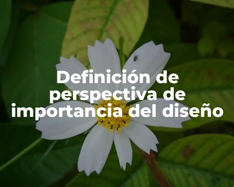 Definición de perspectiva de importancia del diseño